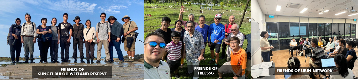 Three groups of people gather for various activities: nature reserve visit, planting trees, and attending a presentation.